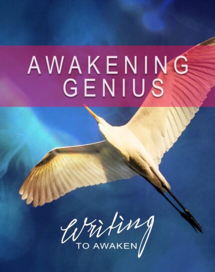 Awakening Genius Cover - Resized