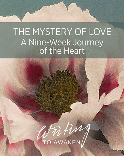 WTA-MysteryOfLove_431