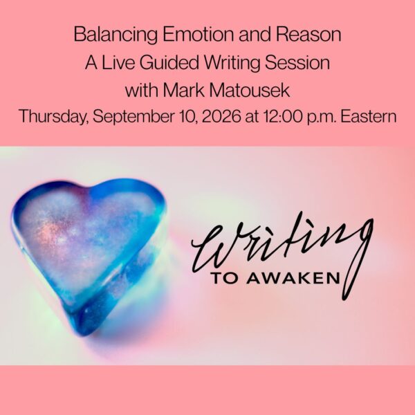 Balancing Emotion and Reason Guided Writing Session